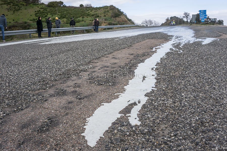 Lula. La protesta di pastori (foto S.Novellu)