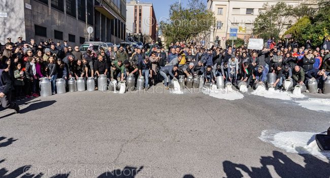 Nuoro, manifestazione di protesta contro il prezzo del latte (© foto S.Novellu)