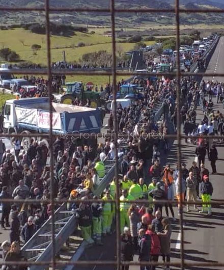 Protesta dei pastori per il prezzo del latte a Sologo (foto Giobbe)
