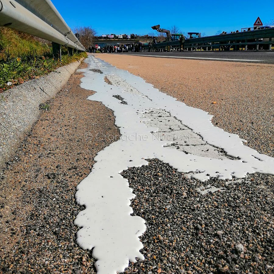 Proteste per il prezzo del latte: assolti due pastori accusati dell’assalto a un furgone