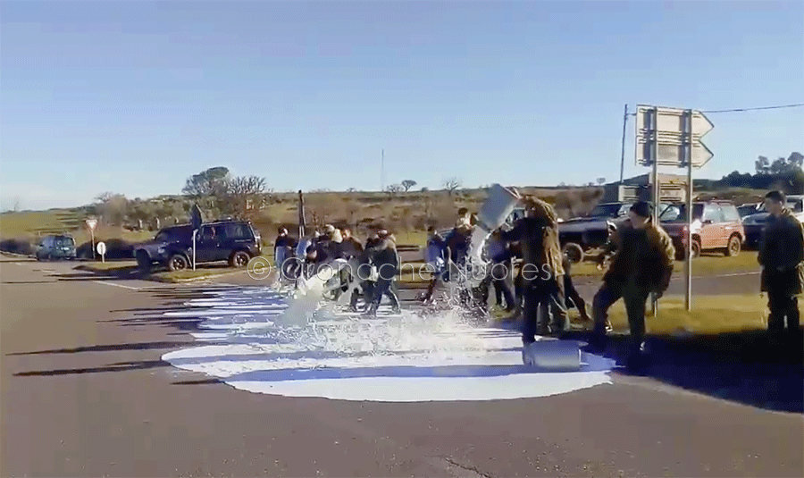 Guerra del latte: la rivolta dei pastori nelle settimane pre elettorali – VIDEO