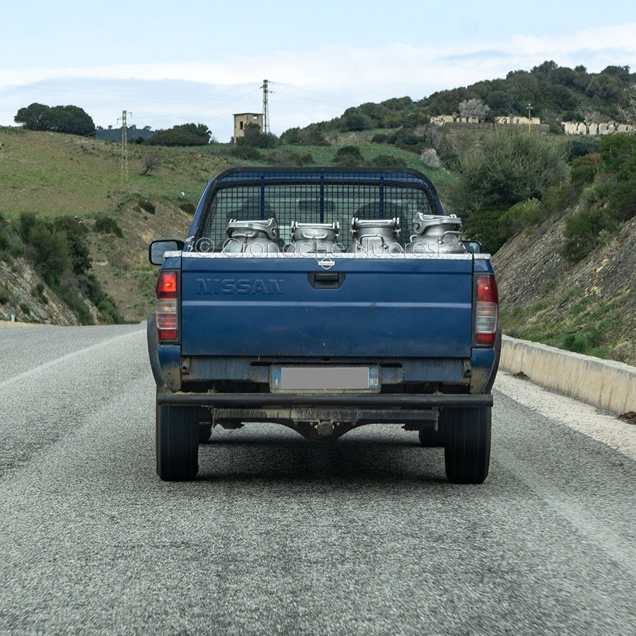 Guerra del latte. Il settore caseario scende in piazza contro gli assalti
