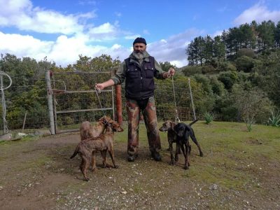 Un allevatore di cani da caccia sezionati
