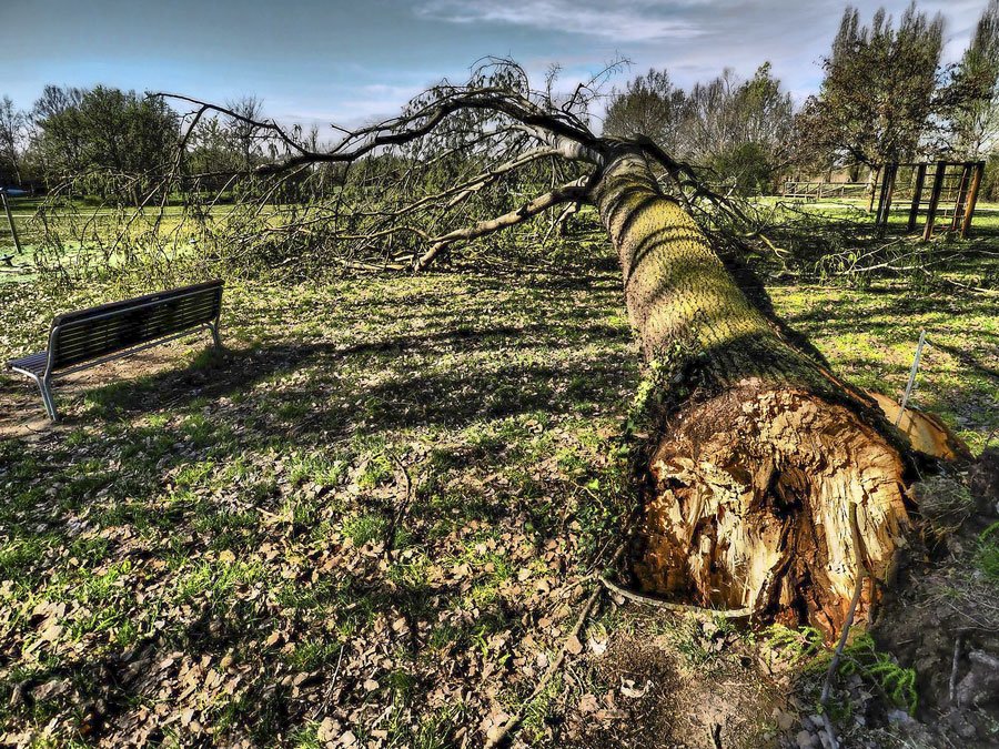 Raffiche di vento in tutta Italia: 500 gli interventi effettuati dai Vigili del Fuoco