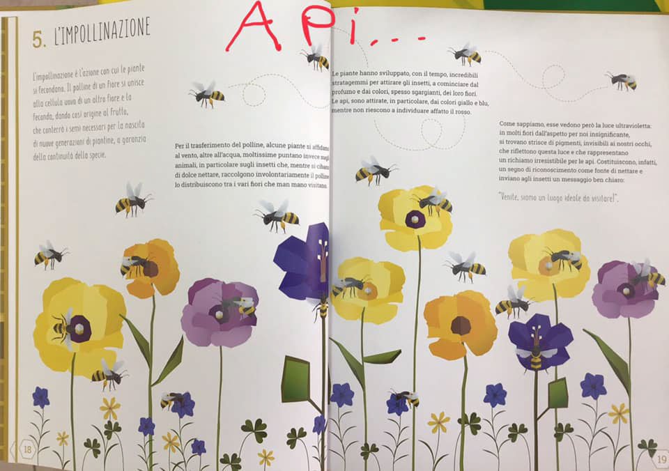 Coldiretti: Gli apicoltori, domani  protagonisti dei Mercati di campagna Amica