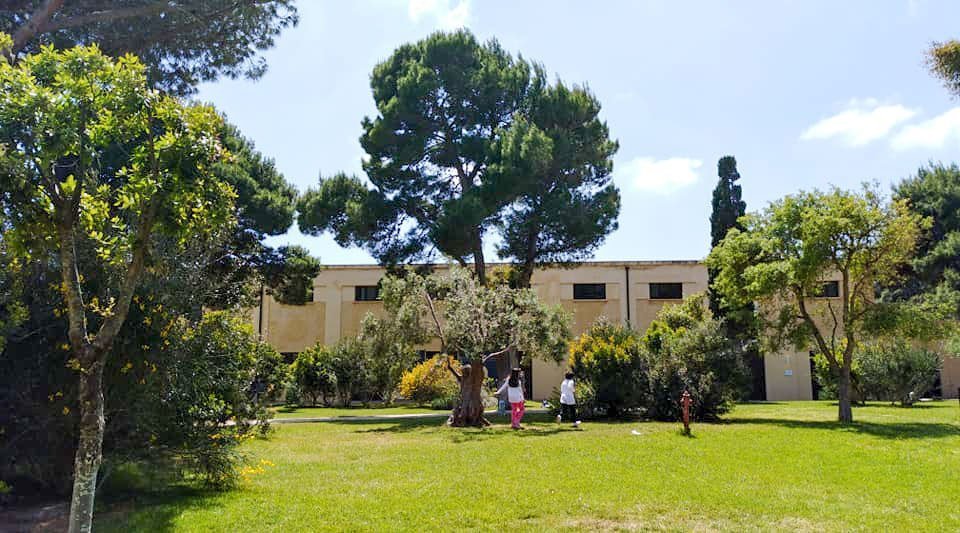 Porto Conte. Grande attesa per l’incontro  con il maestro Elio Pulli