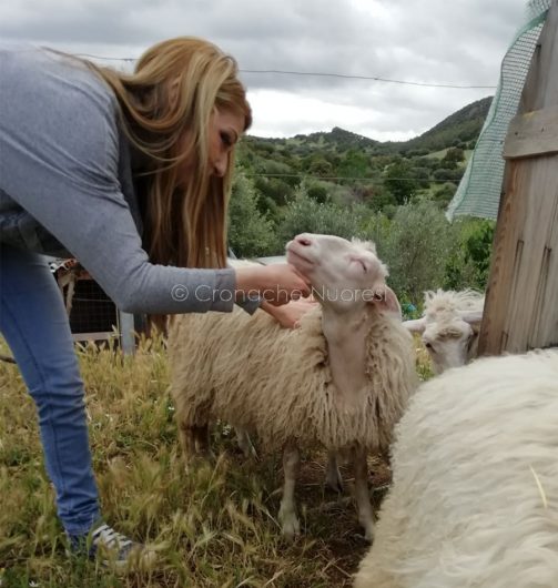 Consuelo Concas con le pecorelle salvate