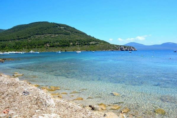 Porto Conte. Cotton fioc e punte di ombrellone in esposizione all’evento “zuppa di plastica”