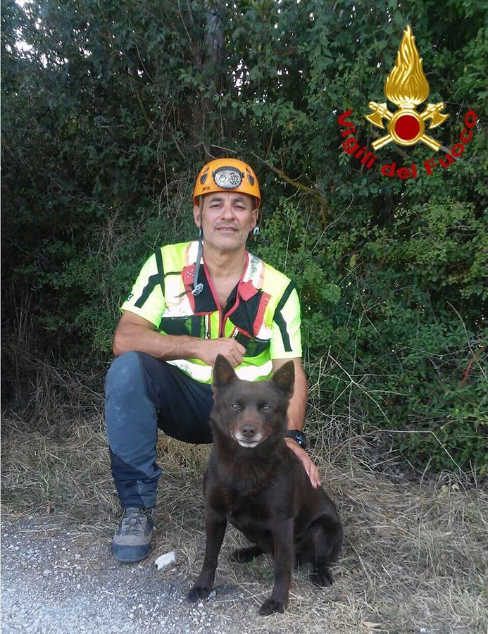 52enne disperso ritrovato grazie al fiuto di Kinki, unità cinofila dei Vigili del fuoco