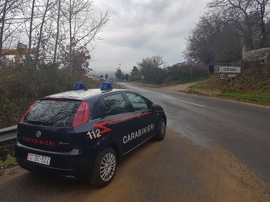 Chiarito il mistero sulla morte di sette pecore: sono state uccise da un fulmine