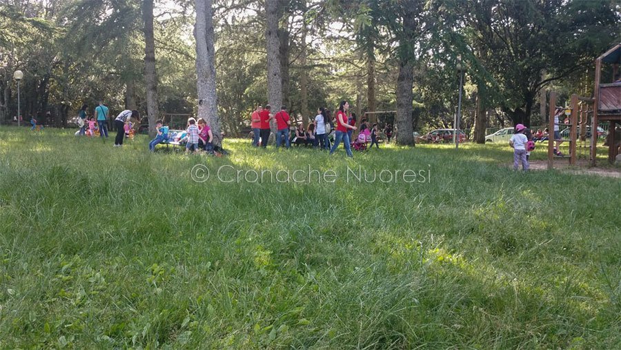 Il monte Ortobene come una giungla: il parco giochi ricoperto da erbacce e sterpaglie