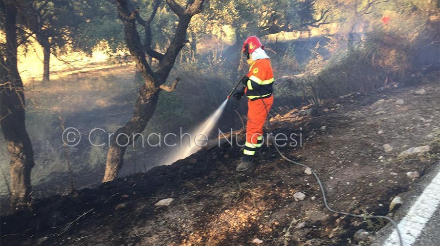 Fuoco alle porte di  Nuoro. Di nuovo in fiamme Su Berrinau