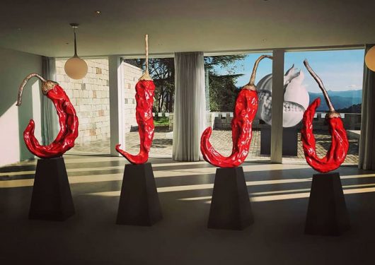 La mostra di Giuseppe Carta all'ISRE