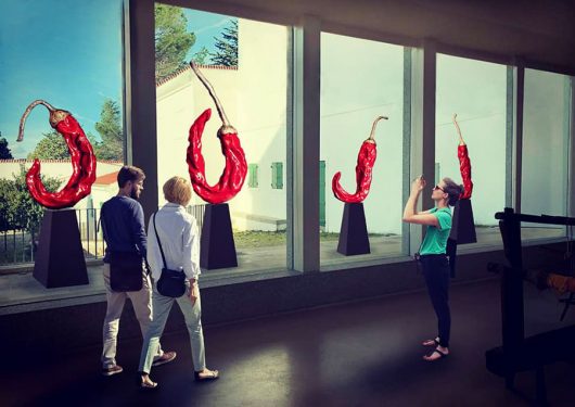 La mostra di Giuseppe Carta all'ISRE