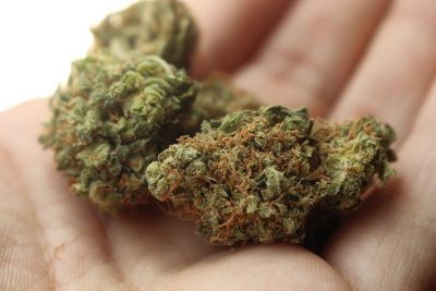 Marijuana (immagine simbolo)
