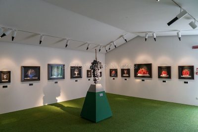 Nuoro. ISRE, inaugurazione della mostra di Giuseppe Carta (© foto S.Novellu)
