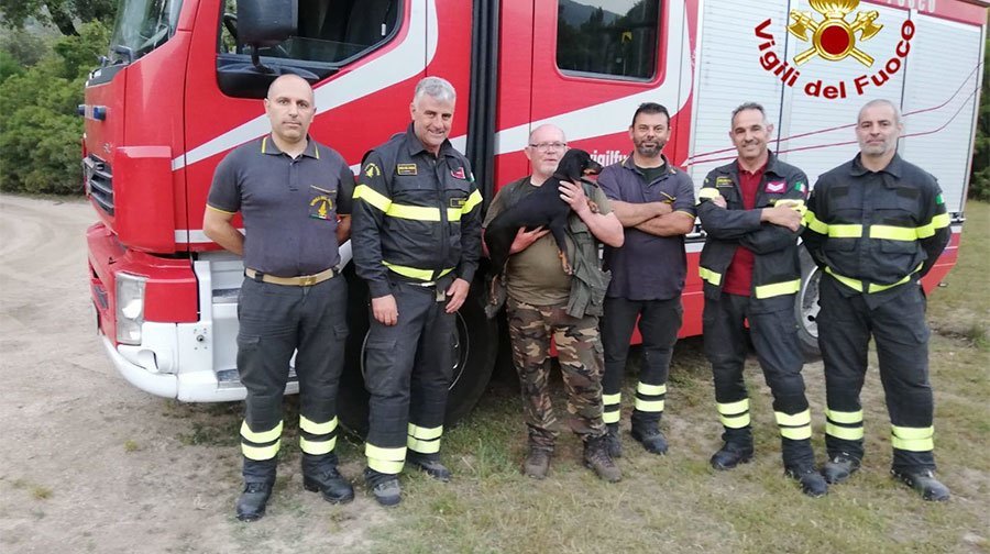 Dispersi mentre cercano tartufi sul Monte Albo: recuperati dai Vigili del Fuoco