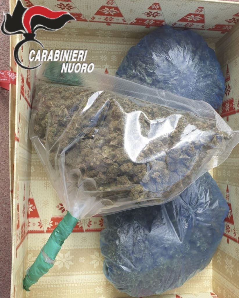 In casa con 400 grammi di marijuana e cocaina: 31enne denunciato