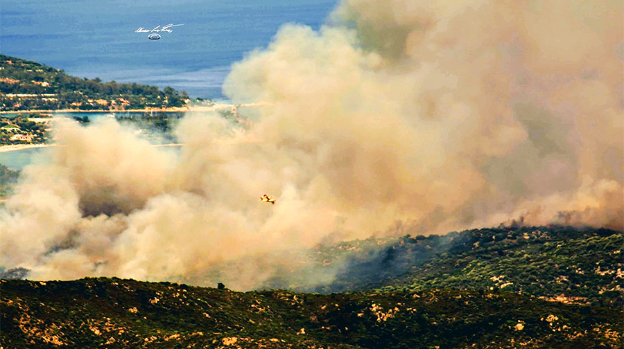 Inferno di fuoco in Sardegna. All’origine della devastazione dell’Ogliastra un contadino