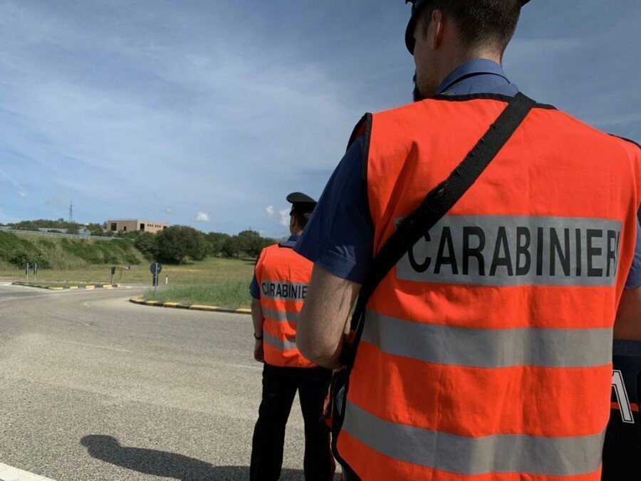 Nuorese. Animali incustoditi: oltre 20mila euro di sanzioni agli allevatori