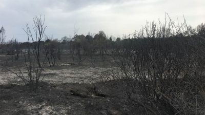 Tortolì oggi dopo l'incendio di ieri