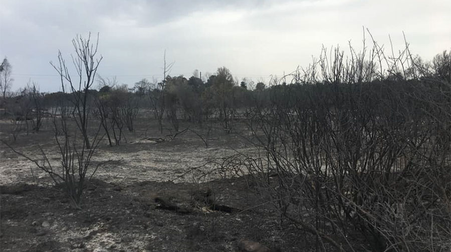 Inferno di Fuoco in Sardegna: la Regione si costituisce parte civile