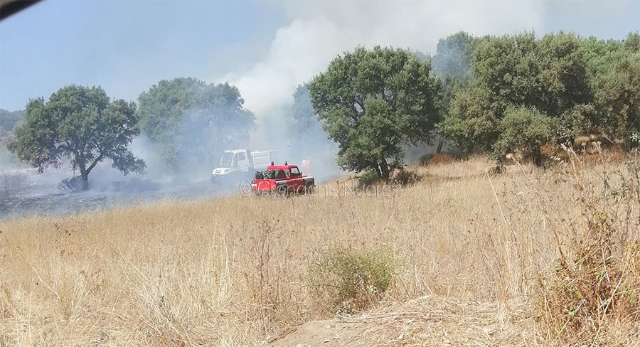 Antincendio: delibere beffa mai pubblicate sul bollettino ufficiale