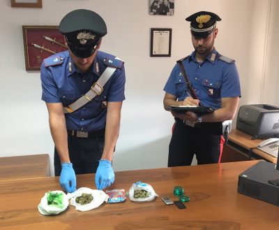 La marijuana sequestrata a Osini