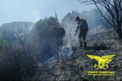 Il personale della Forestale durante le operazioni di spegnimento di un incendio
