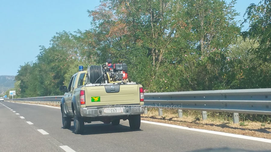 Copagri: “a quando il consiglio comunale sull’emergenza incendi?”