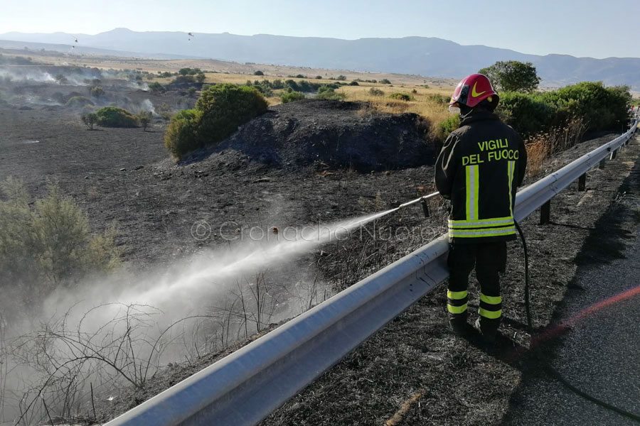 Sardegna: in 10 anni diminuiscono gli ettari bruciati ma non la violenza del fuoco