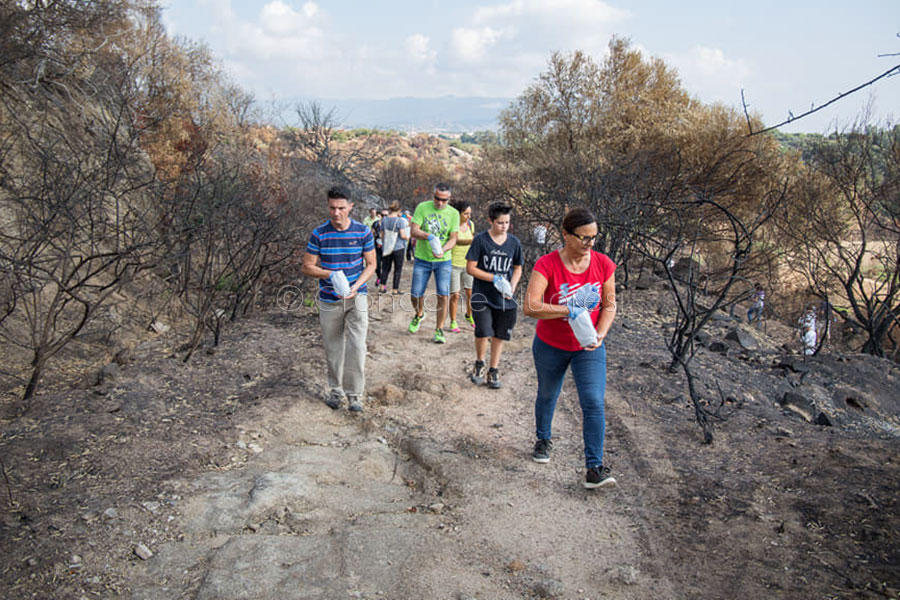 Dopo gli incendi: pioggia di semi sul litorale bruciato in Ogliastra