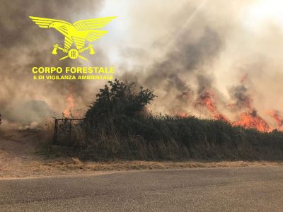 L'incendio nelle campagne di Bitti