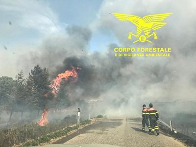 L'incendio nelle campagne di Bitti