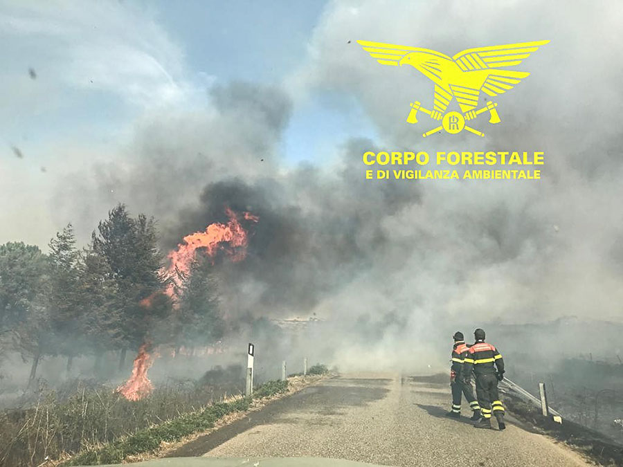 Nuorese in fiamme. Incendi a Orani, Bitti e Nuoro. In cenere 1000 ettari di sugherete