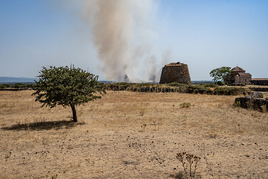 Sardegna in fiamme: maxi rogo tra Ottana, Dualchi e Borore