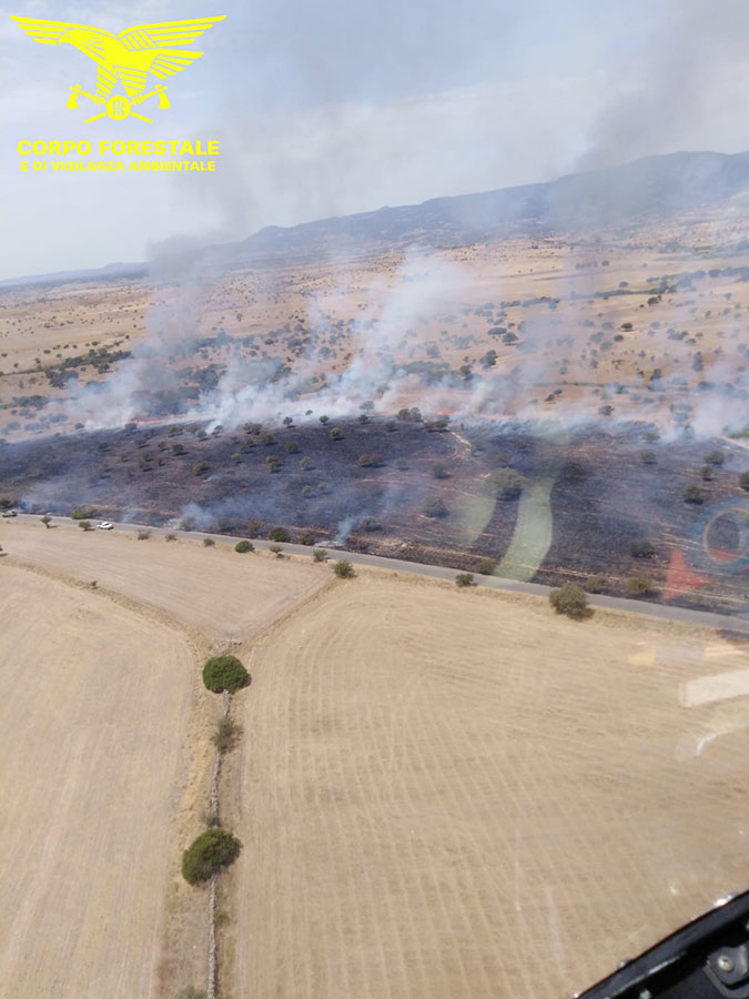 Incendio nelle campagne di Orani: interviene l’elicottero di Farcana