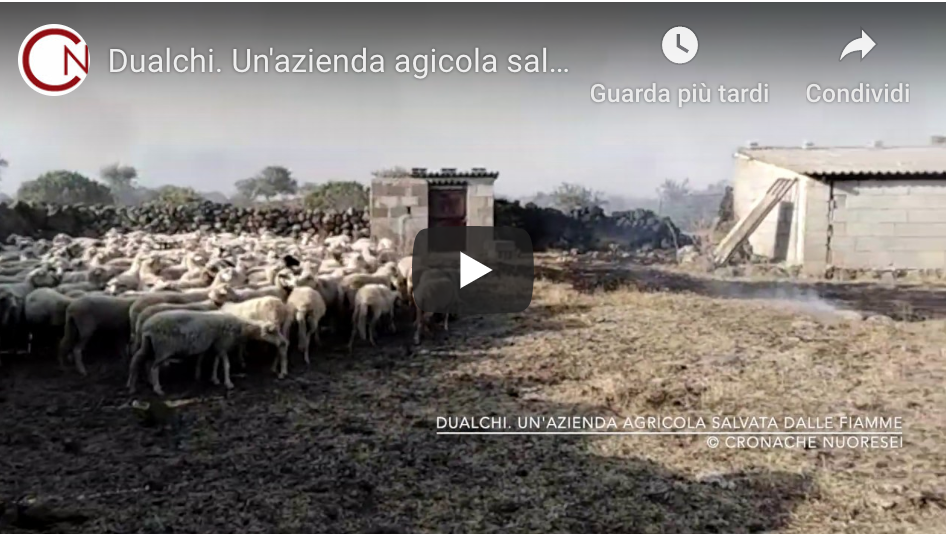 Il bilancio dell’incendio a Dualchi. In fumo 840 ettari – 25 i focolai nel Nuorese – VIDEO