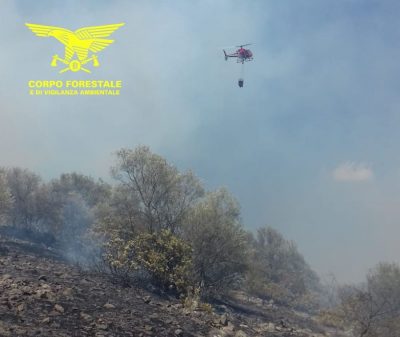 Un intervento dell'elicottero della Forestale