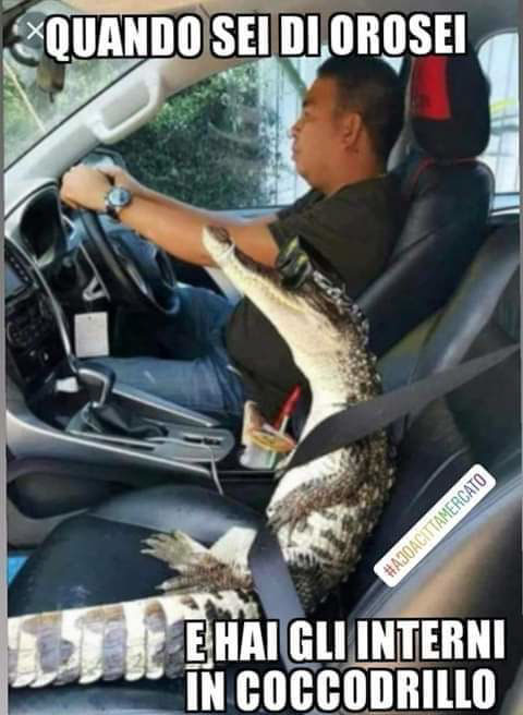 Dai social a sotto l’ombrellone: Jack il protagonista dell’estate 2019