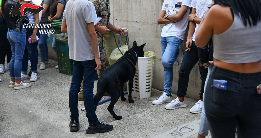Controlli antidroga nelle scuole: rinvenuta marijuana e segnalati tre giovani