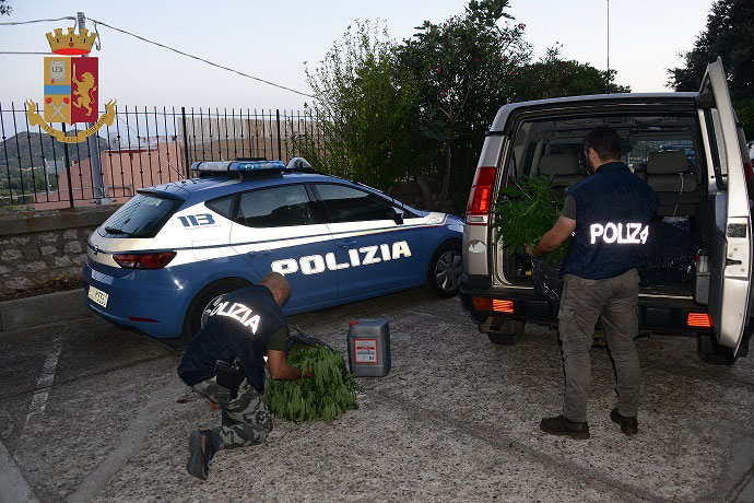 Business della marijuana tra l’Ogliastra e la Baronia: oltre 1000 piante sequestrate, 8 arresti e una denuncia