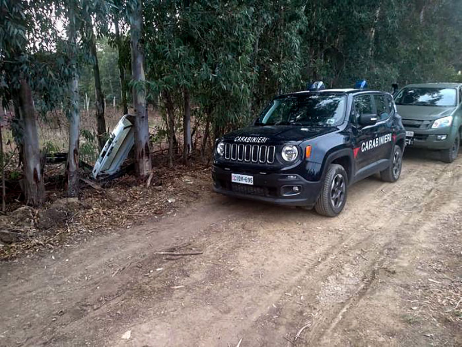 Dopo l’arresto di un latitante di Mamoiada e di un disoccupato di Oliena, scoperte 7mila piante di marijuana