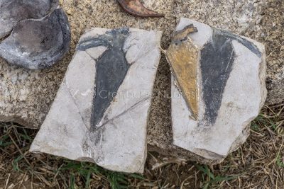 Nuoro, Giornata europea del Patrimonio a Tanca Manna (foto S.Novellu)