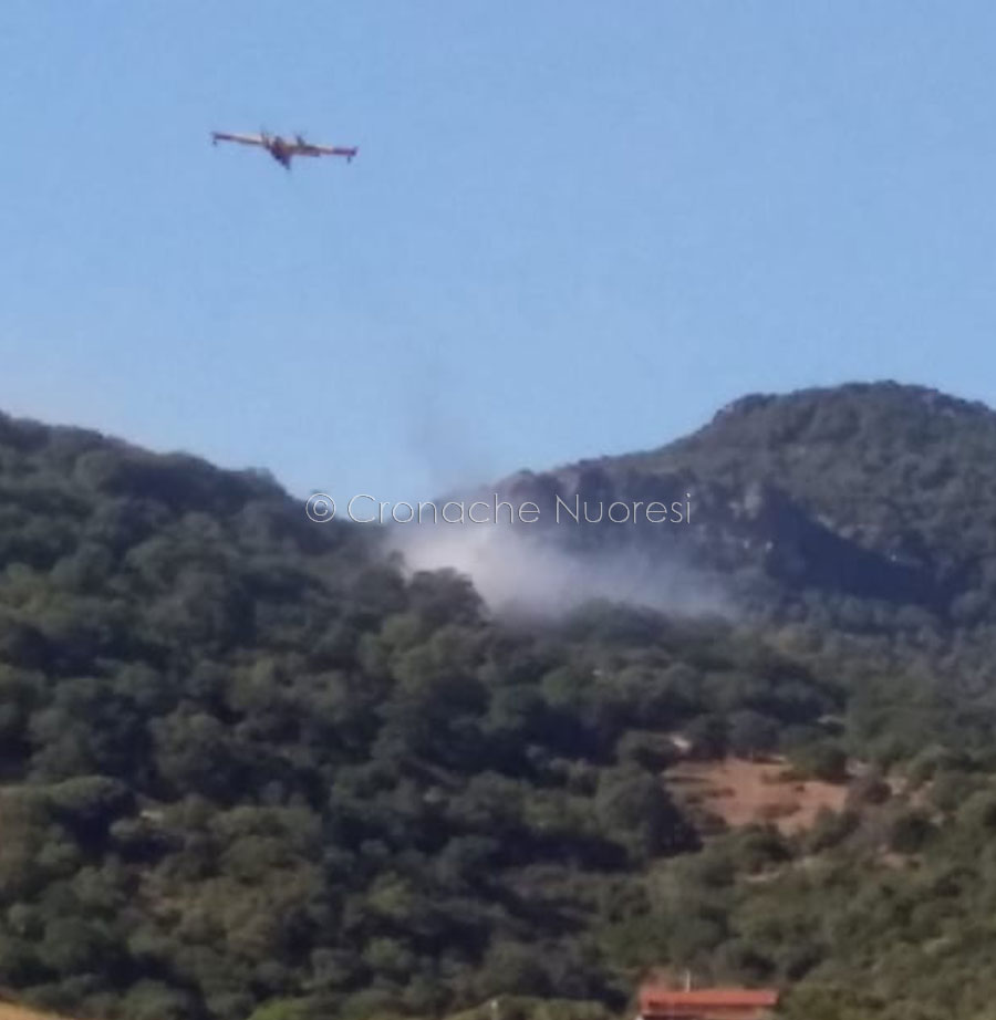 Vasto incendio nel Marghine: in azione due Canadair e un elicottero