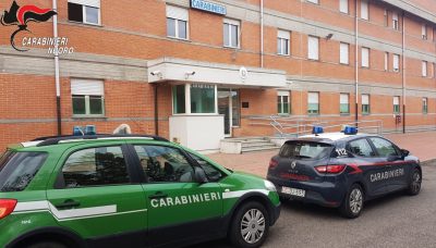 I controlli nelle aziende agricole da parte dei Carabineiri