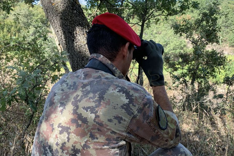 Fucile a canne mozze nascosto tra le foglie: arrestato un pregiudicato