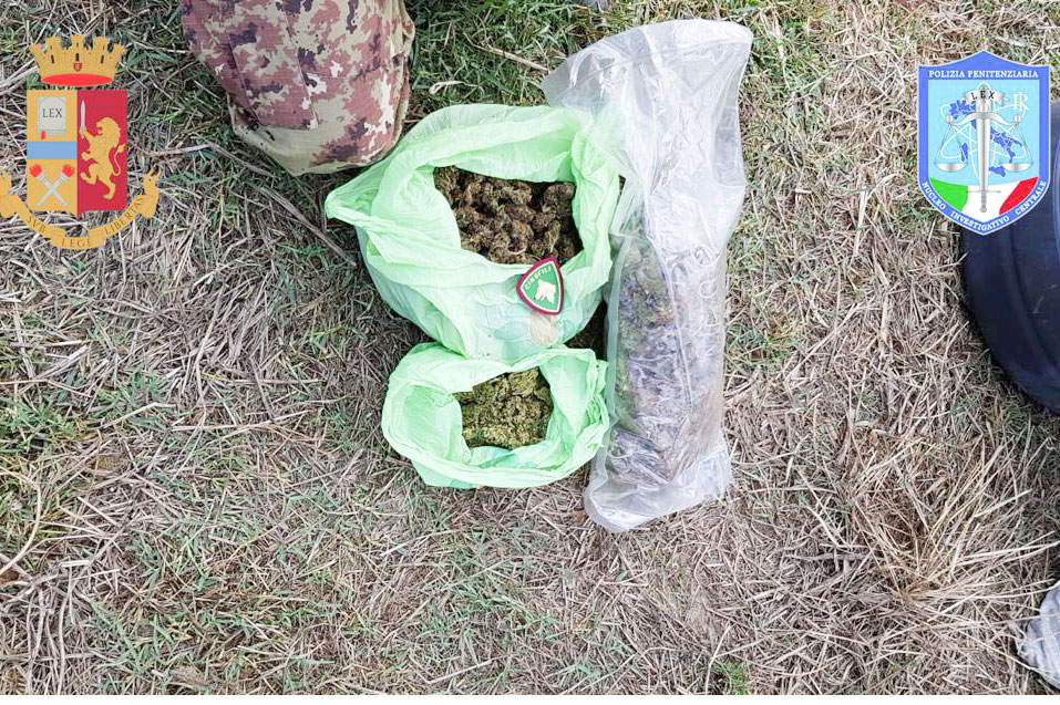 Otto kg di marijuana nell’ovile: tre allevatori in manette