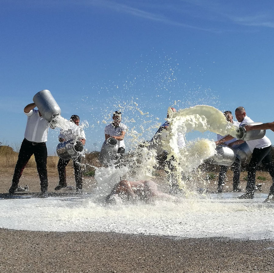 L’artista Nicola Mette al fianco dei pastori sardi con: “60 centesimi al litro”