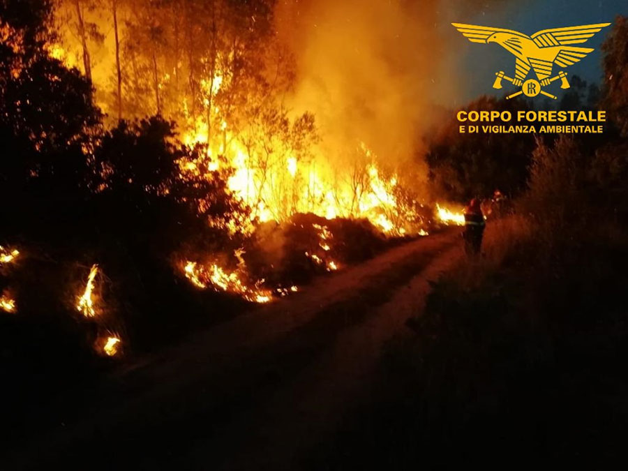 Incendio di vaste proporzioni in agro di Lula